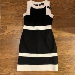 NWT White House black market black and cream dress